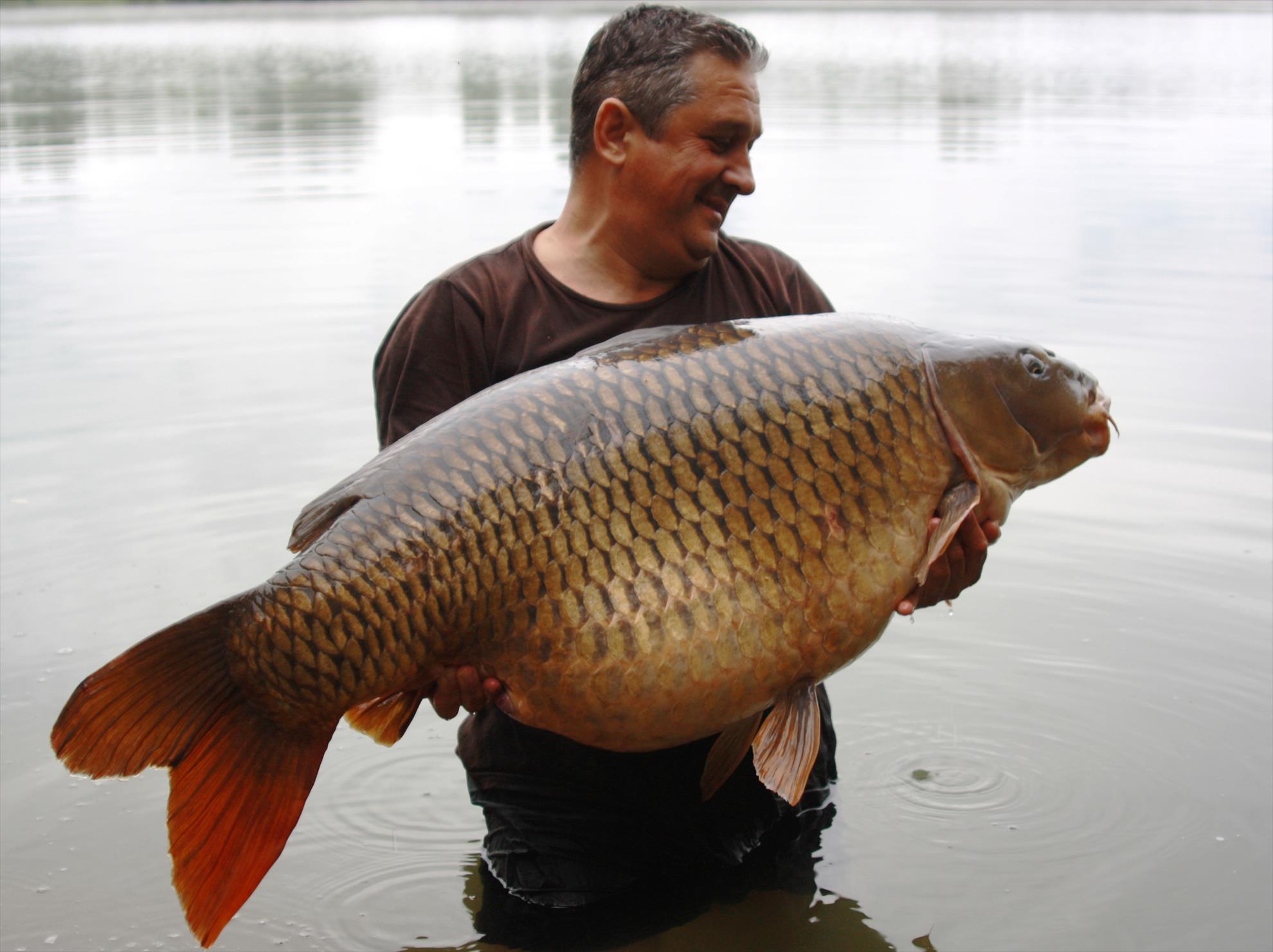 new personal best - 31 kg - img6.JPG